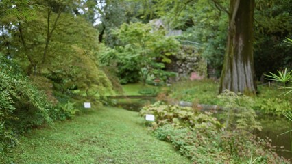 Fototapeta premium Blurred lush path beside a small pond with soft shallow bokeh focus, garden; background backdrop copyspace calm.