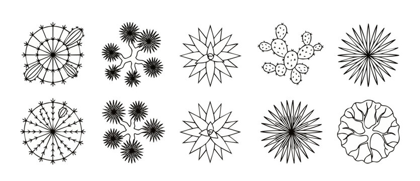 Cactus and Succulent Top View Set, Vector Illustration of Desert Plants for Landscape Architecture Design Plan, Minimalist Black and White Line Art Icon Collection for Garden Maps and Architectural Pl
