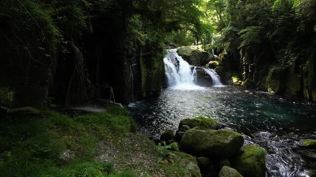 Tengu Waterfall, Kikuchi Gorge Japan | Fresh Green Forest, Clear Waterfall and Gorge Landscape Aerial Drone Background