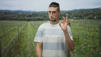 Naklejka premium Man in striped t shirt makes ok sign with right hand showing bare hand and ring among vineyard rows in forest setting with distant hills; approval calm.