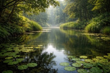 Obraz premium Peaceful water body edged with abundant foliage and delicate lily pads in a natural sanctuary