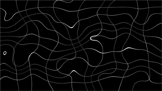 Black screen glows with neon lines. Lines pulse, shift, twist in digital rhythm. Grids stretch and contract with glitchy energy