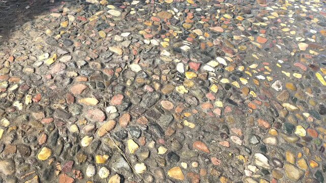 Abstract background with stones and a palm tree casting a shadow. Stone flooring at a hotel. Pebbles, coastline. Close up.