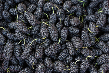 Fresh black mulberries displaying healthy ripe fruit background © zhikun sun
