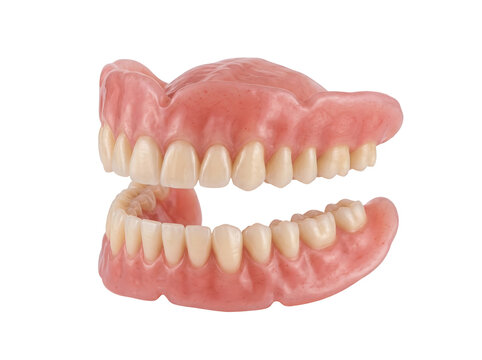 Artificial human dentures with gums isolated transparent background.