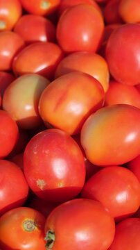 Professional close-up of ripe red tomatoes stacked together at a wholesale market