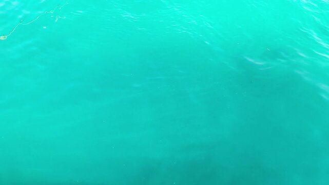 background with blue ripples and waves on the water surface. Waves reflecting light, a swimming pool, sea, ocean. Clear water, splashes, waves, viewed from above. Summer vacation, relaxation, weekend