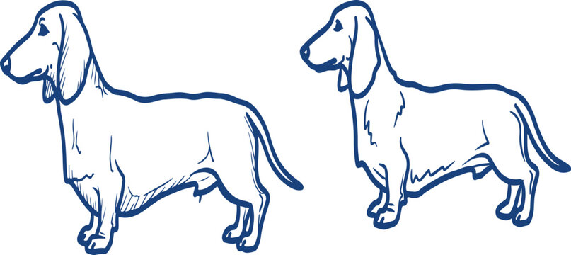 A blue line drawing of a dachshund dog on a gradient beige background