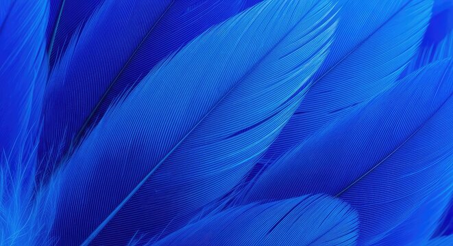 A stunning macro view of overlapping vibrant blue feathers creates a complex and soft texture with electric azure and deep navy shades, plume, plumage, feather