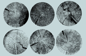 Fototapeta na wymiar Set of tree stump prints with wooden silhouettes and concentric rings. Annual wood textures, cross section tree ring vector pattern for natural design. Cross section of tree stump slice with age rings