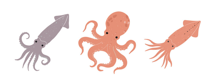 Octopus, squid in warm coral and beige coastal palette