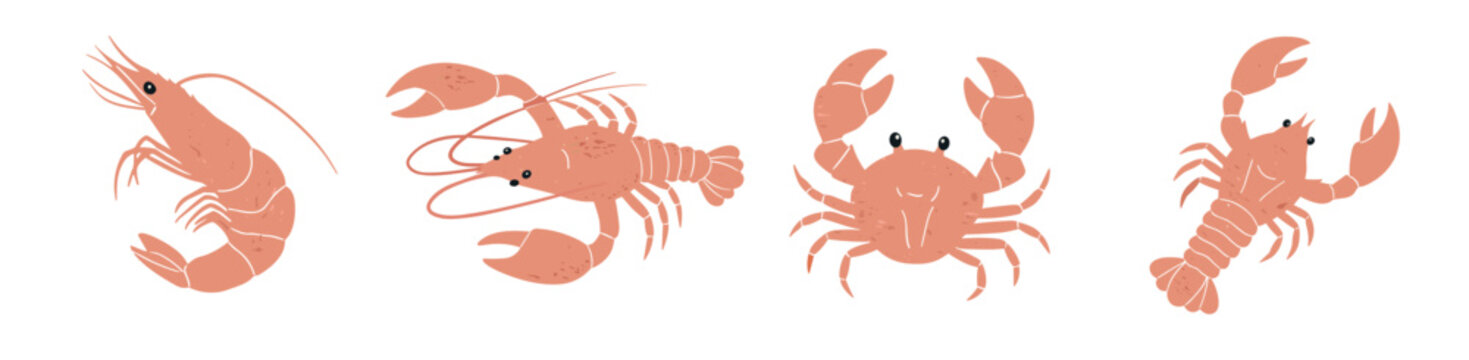 Lobster, crab, shrimp in warm coral and beige coastal palette