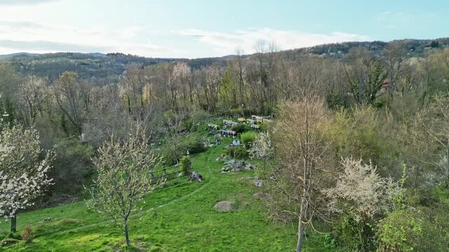 Beautiful aerial descending shot revealing an apiary with colorful beehives nestled in a lush green valley, surrounded by forests and fruit trees in full bloom during the springtime