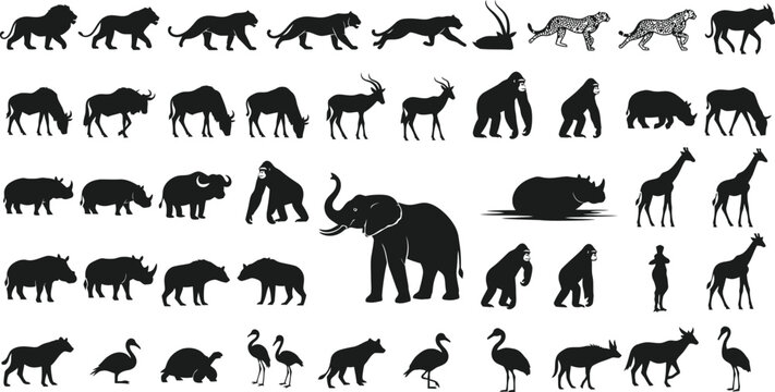 Black and white african animals vector illustration Vector