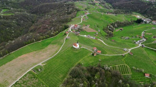 Idyllic aerial perspective of the slovenian countryside featuring rolling green hills, lush vineyards, and a charming white church sitting atop a hill in the famous heart shaped road area