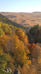 Fototapeta premium The photo shows a beautiful autumn landscape of the Caucasus Mountains