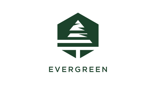 Evergreen Logo Design Featuring a Stylized Pine Tree Inside a Hexagon.