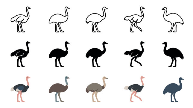 Ostrich flightless bird icon collection featuring various poses and styles, including outline, silhouette, and colorful illustrations for diverse design projects.