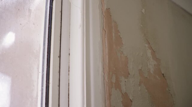A wall damaged by penetrating damp in a UK house.