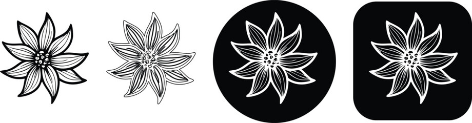Fototapeta premium Detailed multi-petal flower set with outline filled and circular black background variations