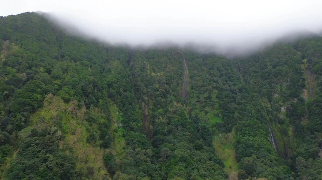 Aerial static shot captures a lush green valley in the Rabacal region on Madeira Island, Portugal with steep cliffs, hidden waterfalls, dense forest and rugged volcanic rock formations.