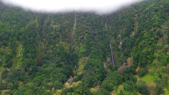 Aerial static shot captures a lush, steep-sided valley with a hidden waterfall in the Rabacal area of Madeira island, Portugal.