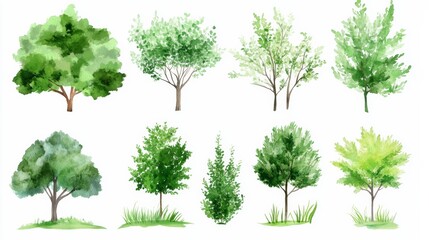 Fototapeta premium Various types of trees drawn in green watercolor with different shapes and sizes