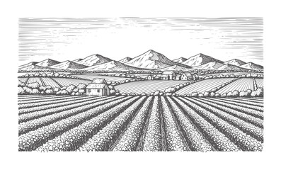 Fototapeta premium Vintage engraving of a rural landscape with vineyards and mountains