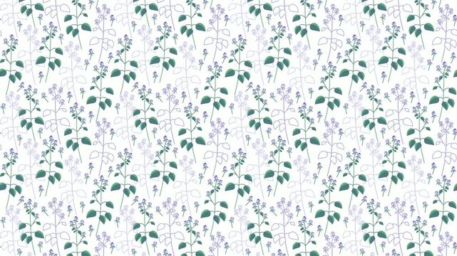 Video of seamless floral pattern with purple wild plants and green leaves and their silhouettes  on white background. Could be used as wallpaper or background for any content, loops continuously. 