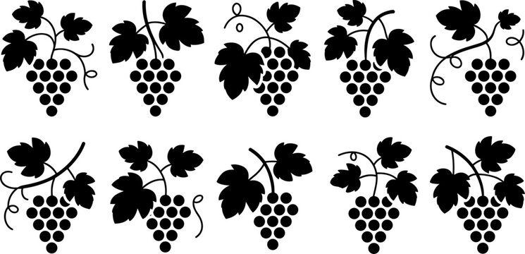 Black Silhouette Grape Bunch and Vine Leaf Collection Set with Various Shapes for Winery Wine and Vineyard Label Design