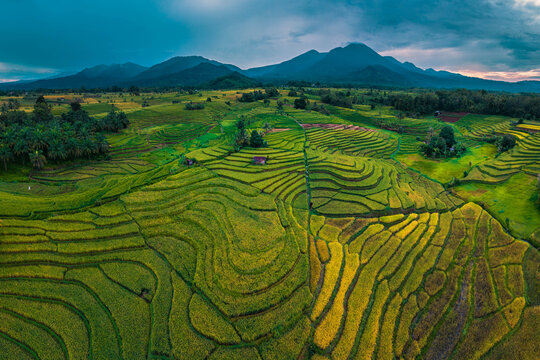 The natural beauty of the Indonesian mountains with beautiful tropical forests at sunrise