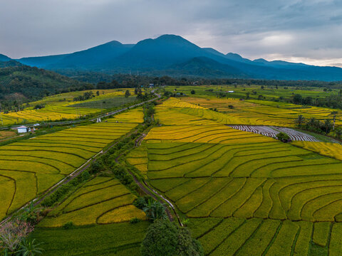The natural beauty of the Indonesian mountains with beautiful tropical forests at sunrise