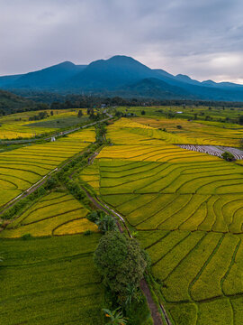 The natural beauty of the Indonesian mountains with beautiful tropical forests at sunrise