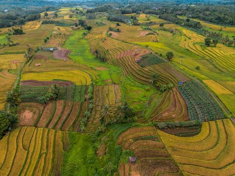 The natural beauty of the Indonesian mountains with beautiful tropical forests at sunrise