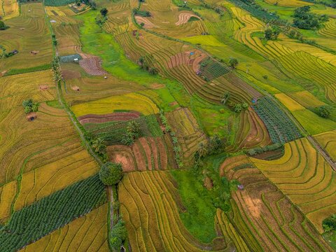 The natural beauty of the Indonesian mountains with beautiful tropical forests at sunrise