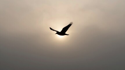 Obraz premium A stunning silhouette of a bird in flight against a soft sunset. The tranquil sky and golden light create a peaceful atmosphere, perfect for nature lovers.