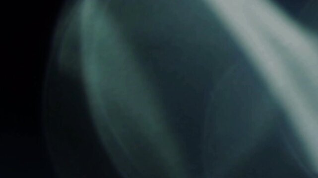 Dreamy Crystal Light Leaks and Bokeh Overlay for Elegant Cinematic Video Effects