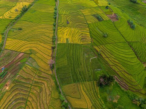 The natural beauty of the Indonesian mountains with beautiful tropical forests at sunrise