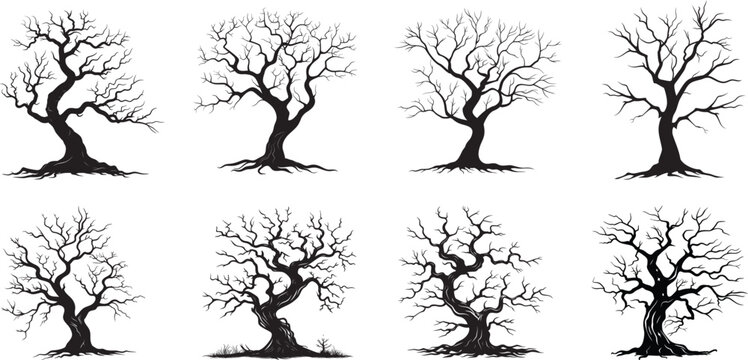 Dead tree silhouette vector illustration with twisted bare branches and exposed roots, isolated on white background.