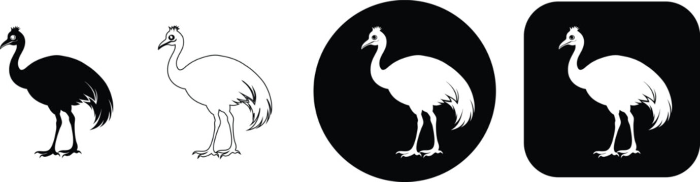 Cassowary bird set black white silhouette outline circle square cassowary silhouette