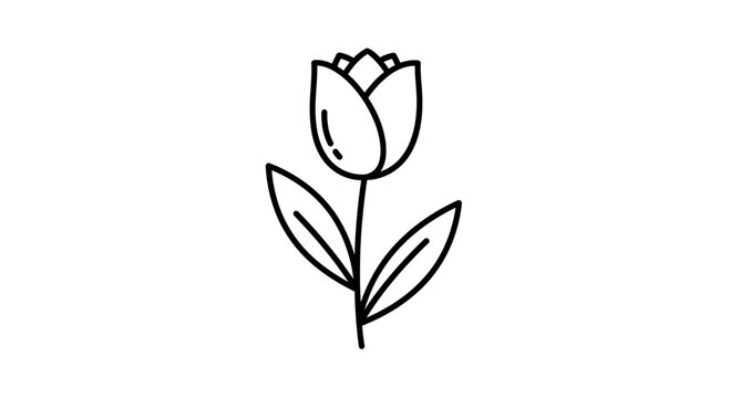 Tulip flower with green leaves drawing.