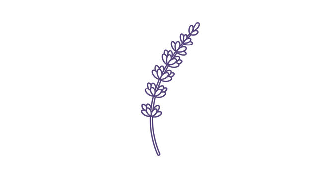 Simple line drawing of a flower.