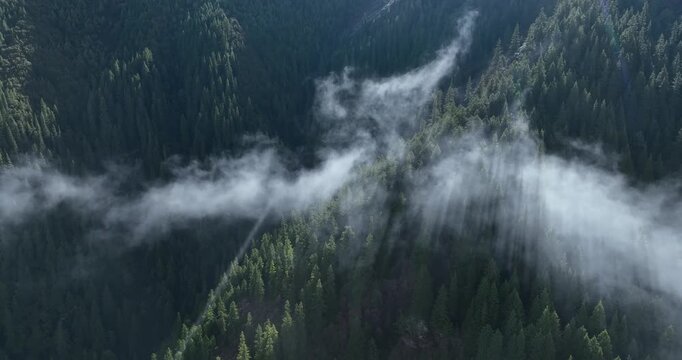Aerial footage of beautiful high altitude grassland and mountain landscape