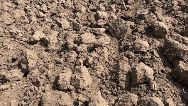 Cinematic macro shot of rich brown soil clods in a freshly ploughed agricultural field
