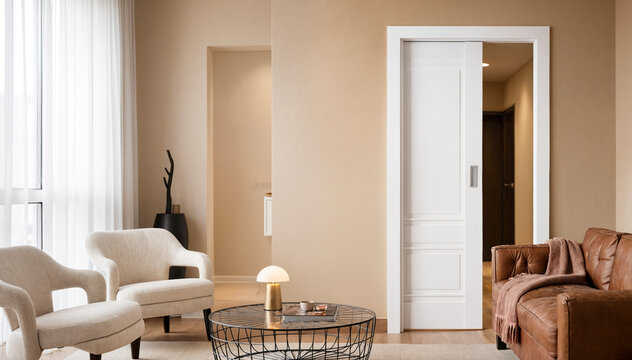 Pocket door in Modern minimalist living room
