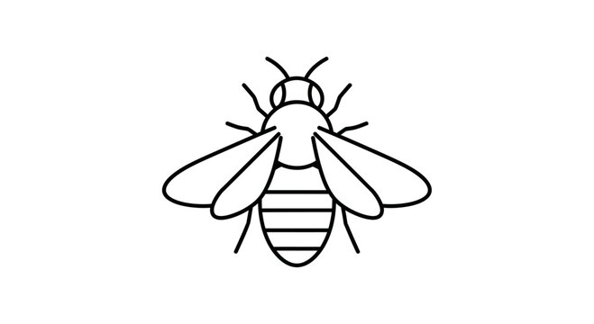 Detailed illustration of a honey bee.