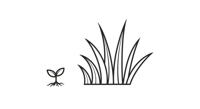 Small plant next to grass.