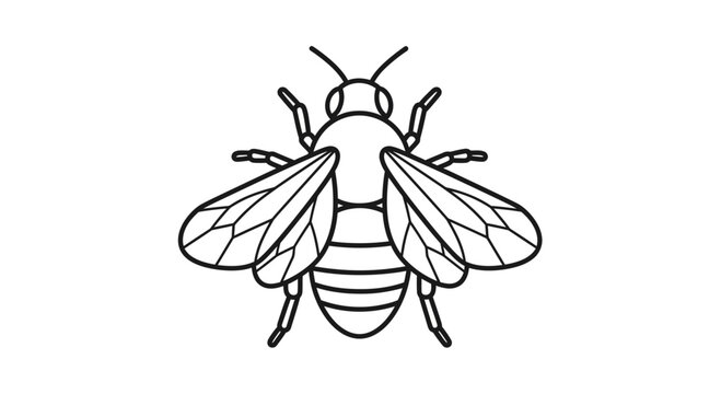 Detailed illustration of a flying bee.