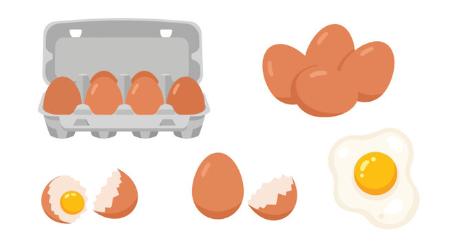 Cartoon eggs in carton cracked shells and fried egg vector illustration