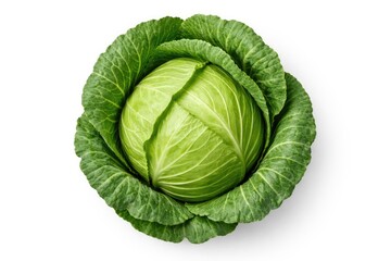Obraz premium Overhead shot of young green cabbage isolated with clipping path on plain white